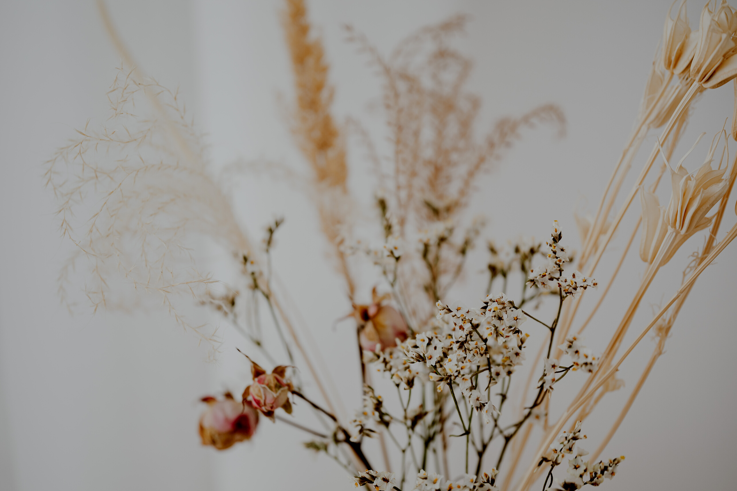 An Arrangement of Assorted Fresh and Dried Flowers